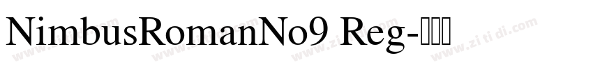 NimbusRomanNo9 Reg字体转换